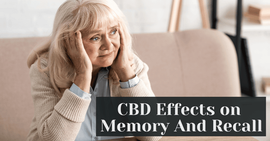 CBD Effects on Memory And Recall