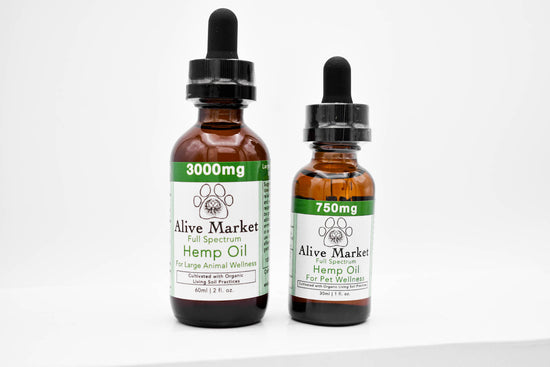 CBD Oil For Pets